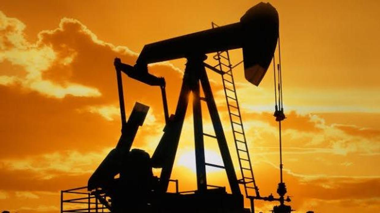 1,2 milyar varillik petrol rezervi keşfedildi