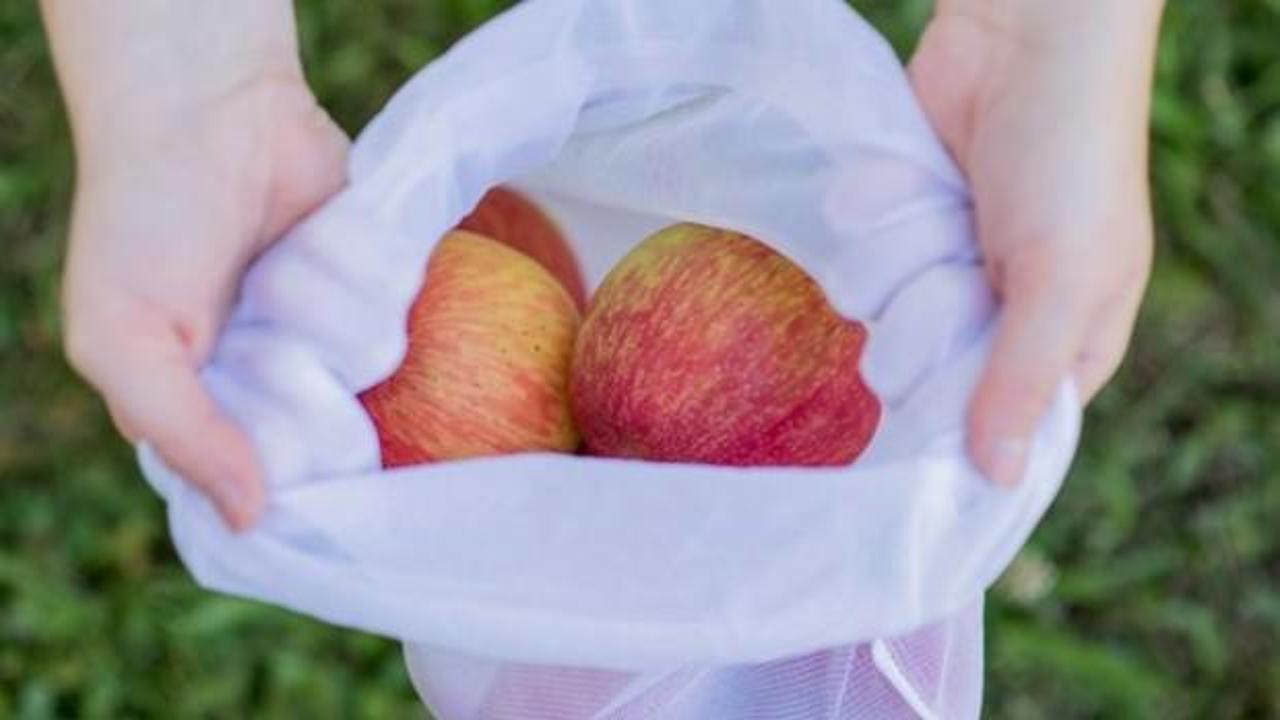 1 yıl bozulmayan elma üretildi