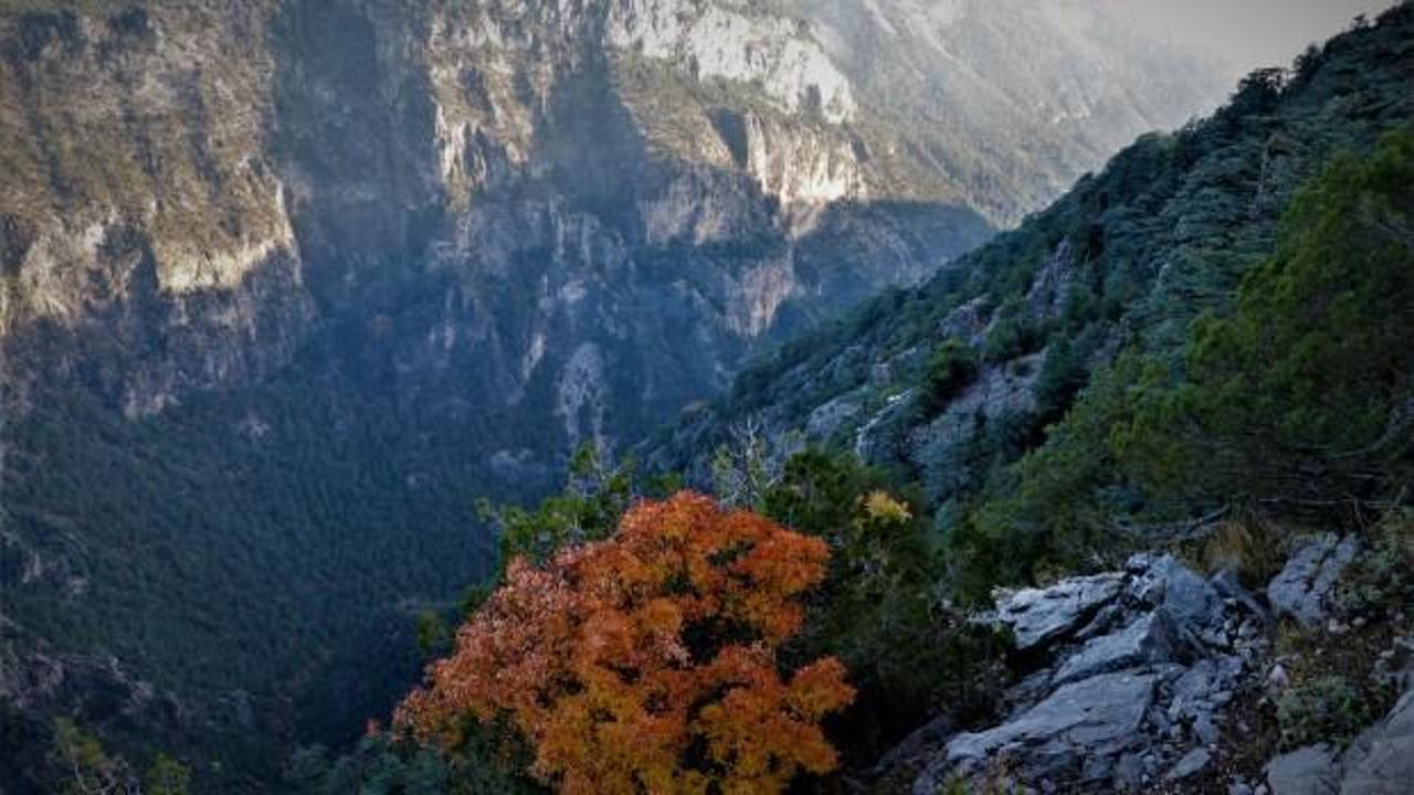 Karanlıkdere Kanyonu sonbaharda görsel şölen oluşturuyor