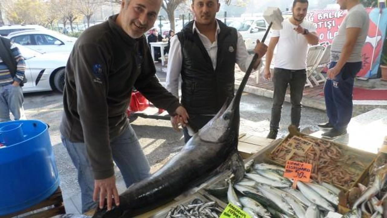 Kılı&ccedil; balığı altın fiyatına satıldı