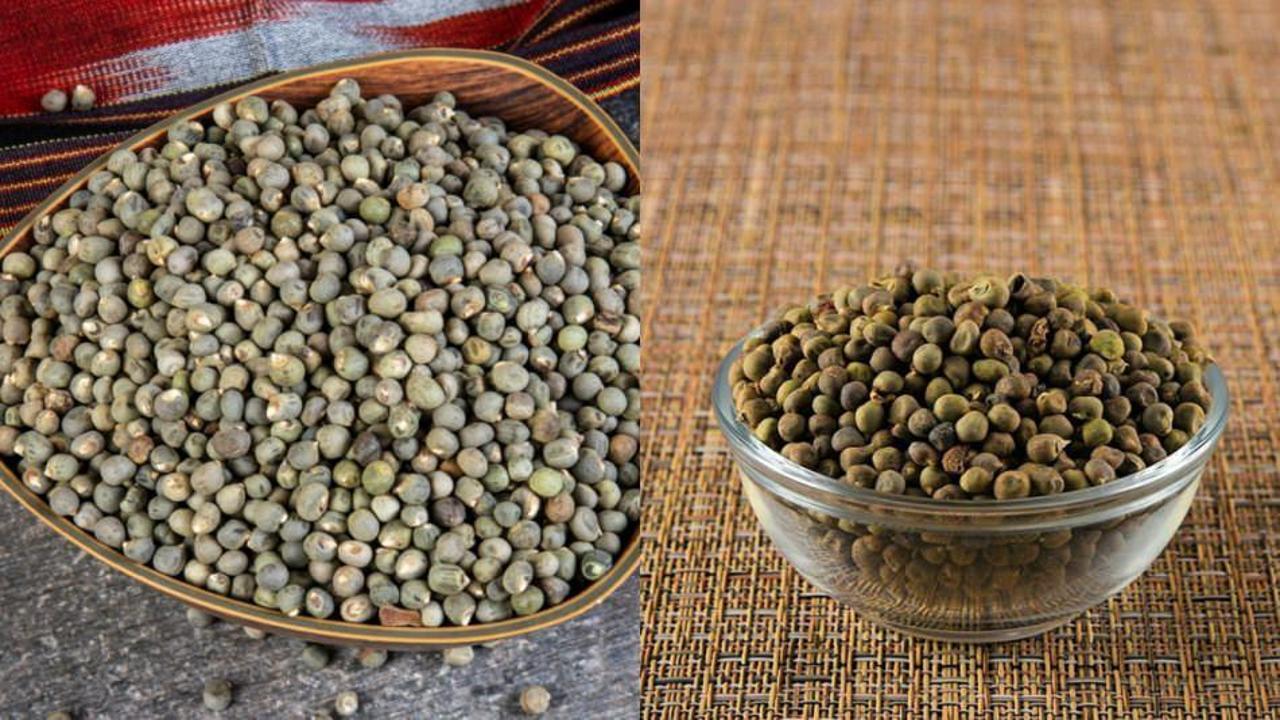 Bamyanın faydaları nelerdir? Hangi hastalıklara iyi gelir? Bamya tohumu ne işe yarar?