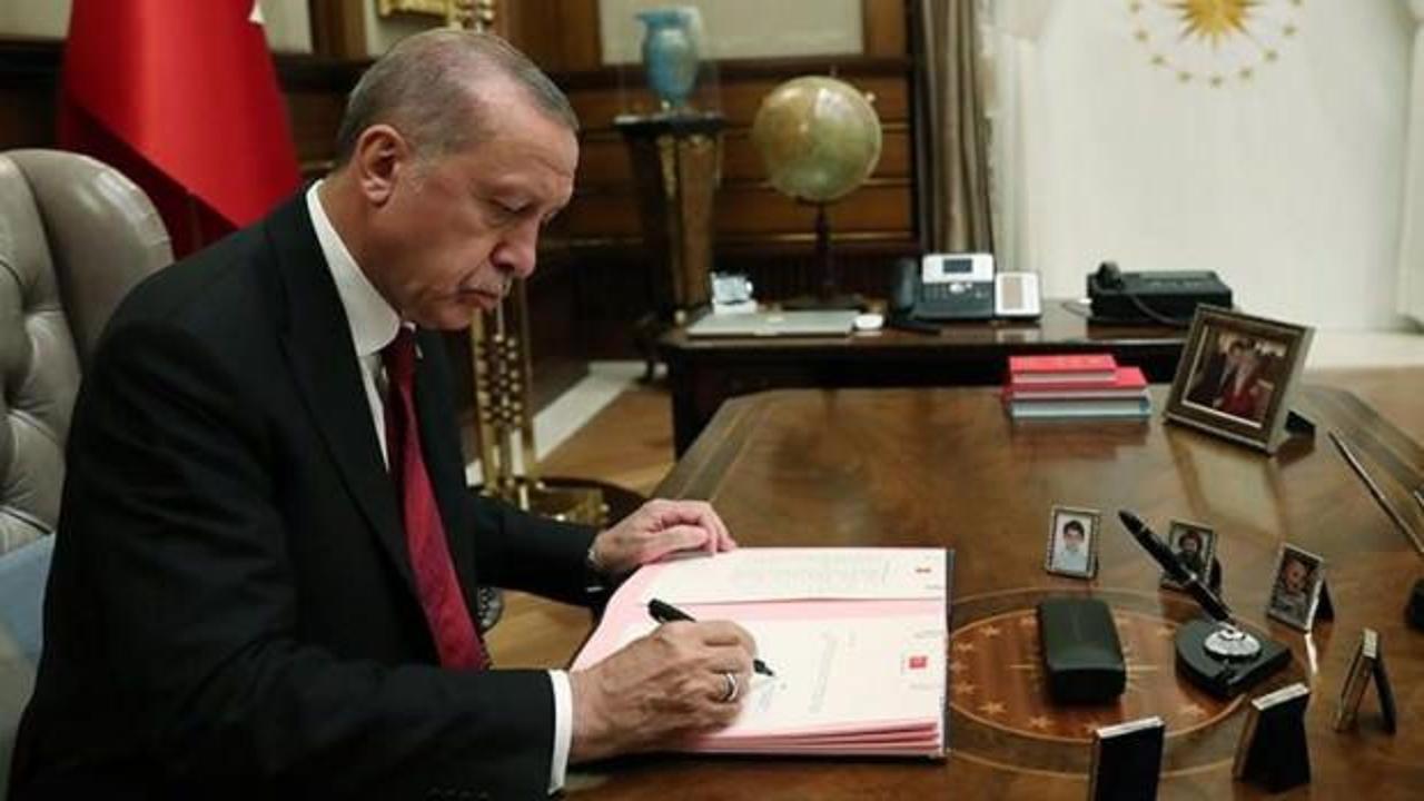 Cumhurbaşkanı Erdoğan'ın vetosu 'hastalık' zincirini durduracak