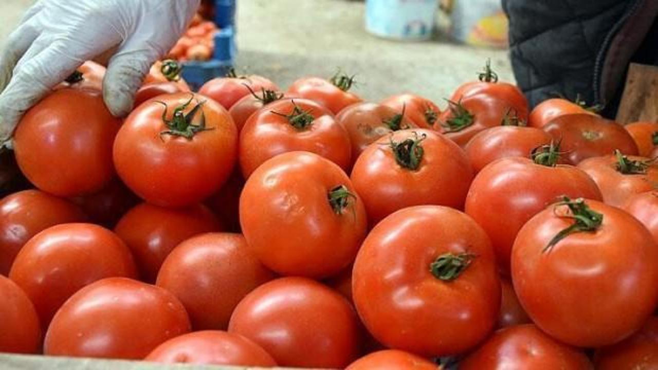 Dünyada domates üretiminde üçüncü sıradayız