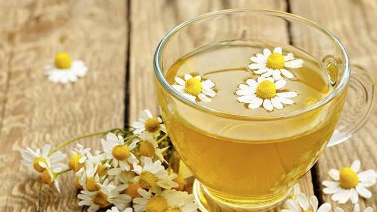 Papatya çayının faydaları neler? Papatya çayı neye iyi gelir? (Besin değeri)