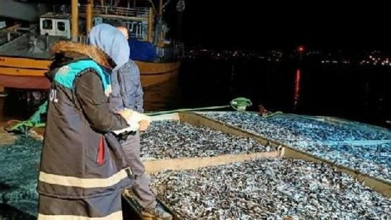 Rize'de 30 ton balığa el konuldu