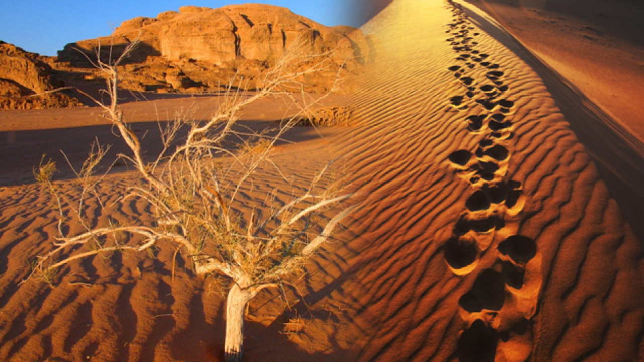 Hurma ve zemzemin faydaları neler? Zemzem suyu nasıl içilir?