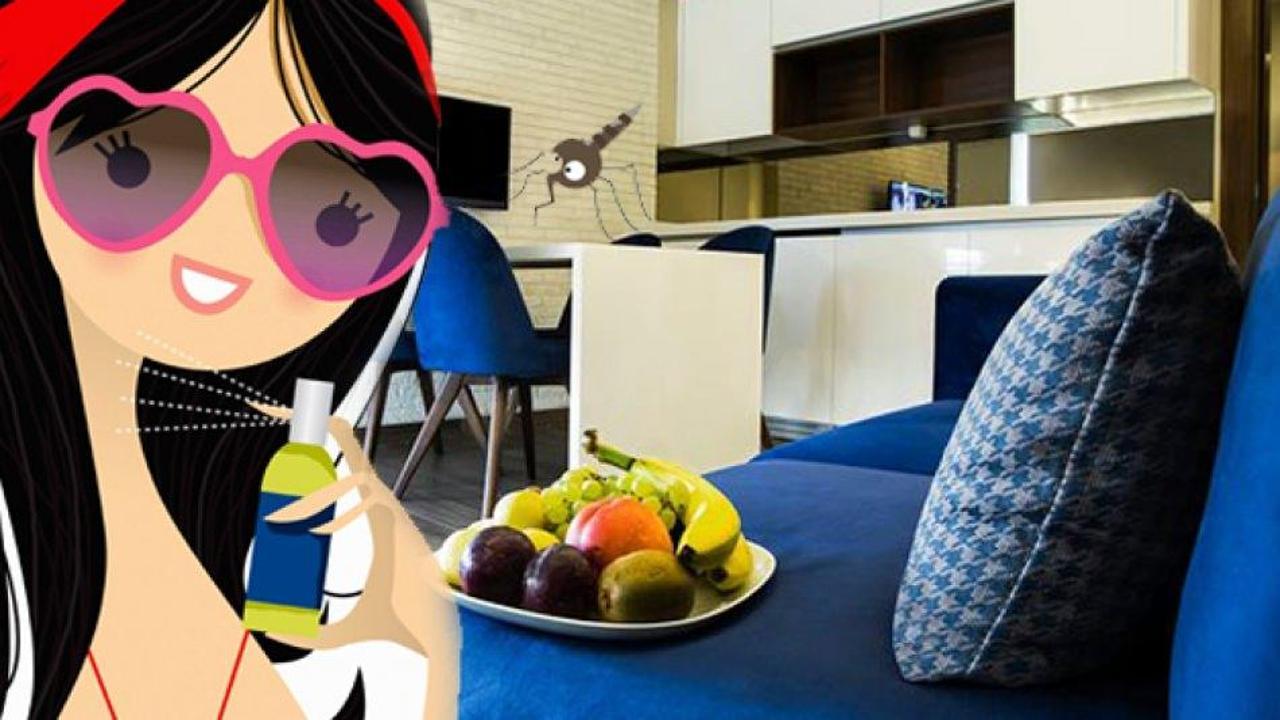 Evdeki böceklere kesin çözüm! Evde uçan küçük sinekler nasıl önlenir?