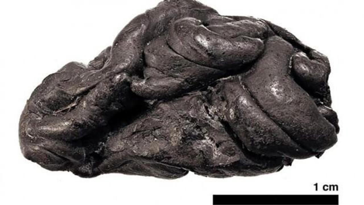 5 bin 700 yıl önce yaşamış kadının genetik şifresi çözüldü