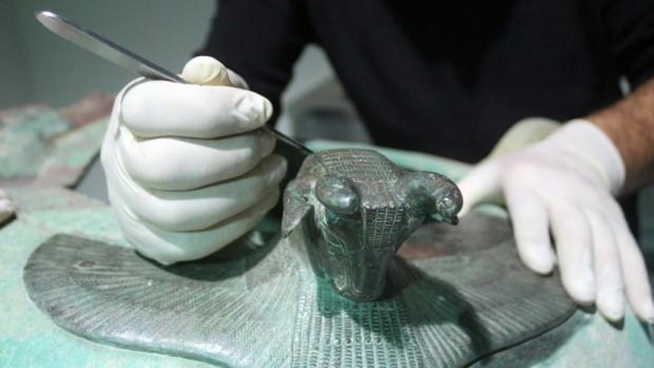 Van'da sergilenecek! D&uuml;nyada sadece 4 tane var