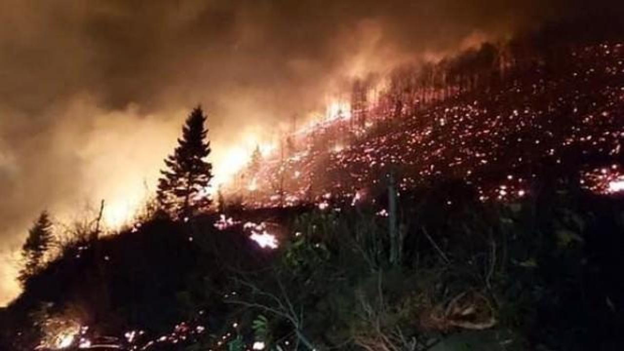 Trabzon'da çok sayıda noktada orman yangını! Valilik'ten yeni açıklama