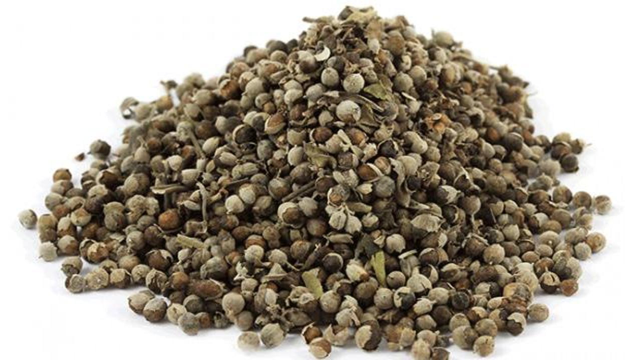 Hayıt tohumunun faydaları: Şifa deposu hayıt tohumu çayı neye iyi gelir?