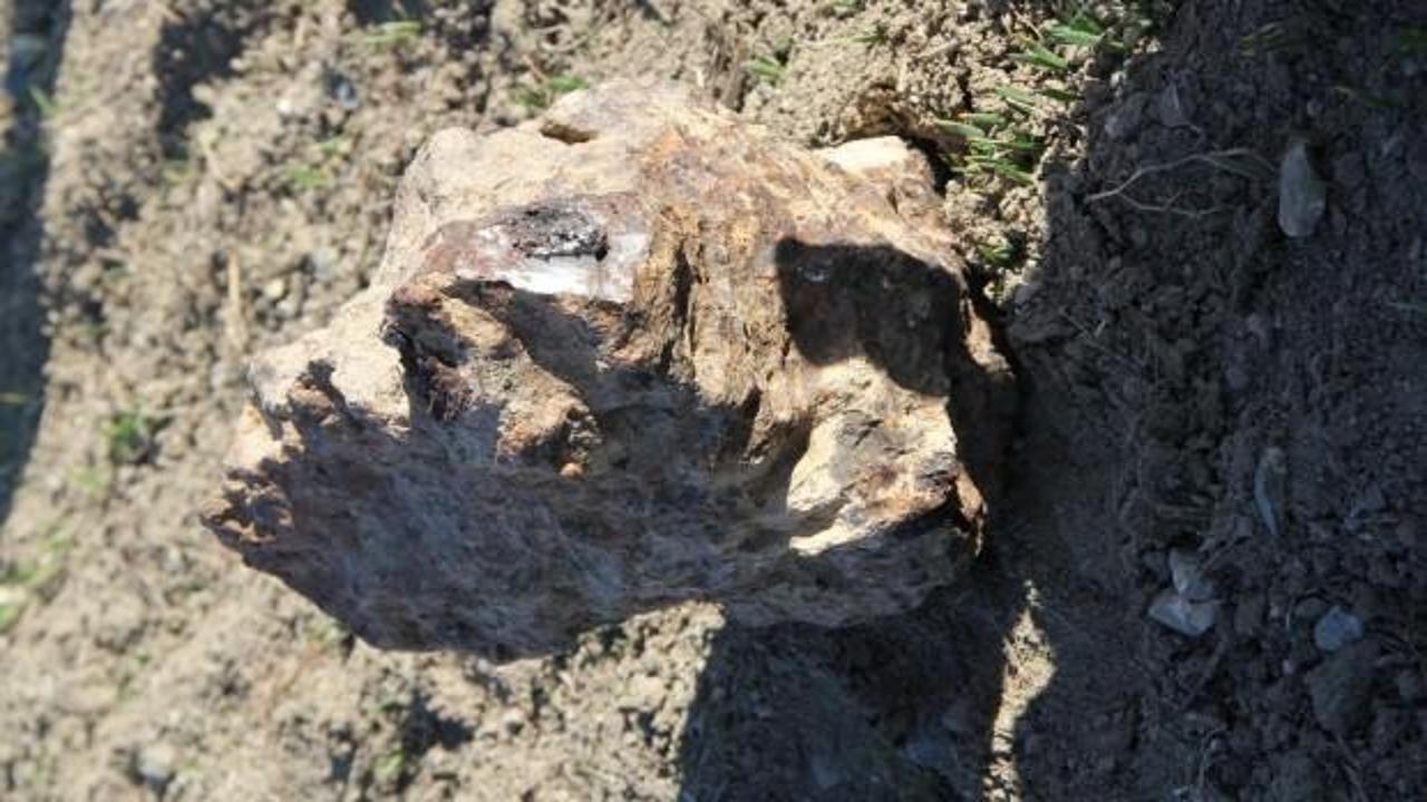 Ceviz ağacı dikerken meteorit buldu