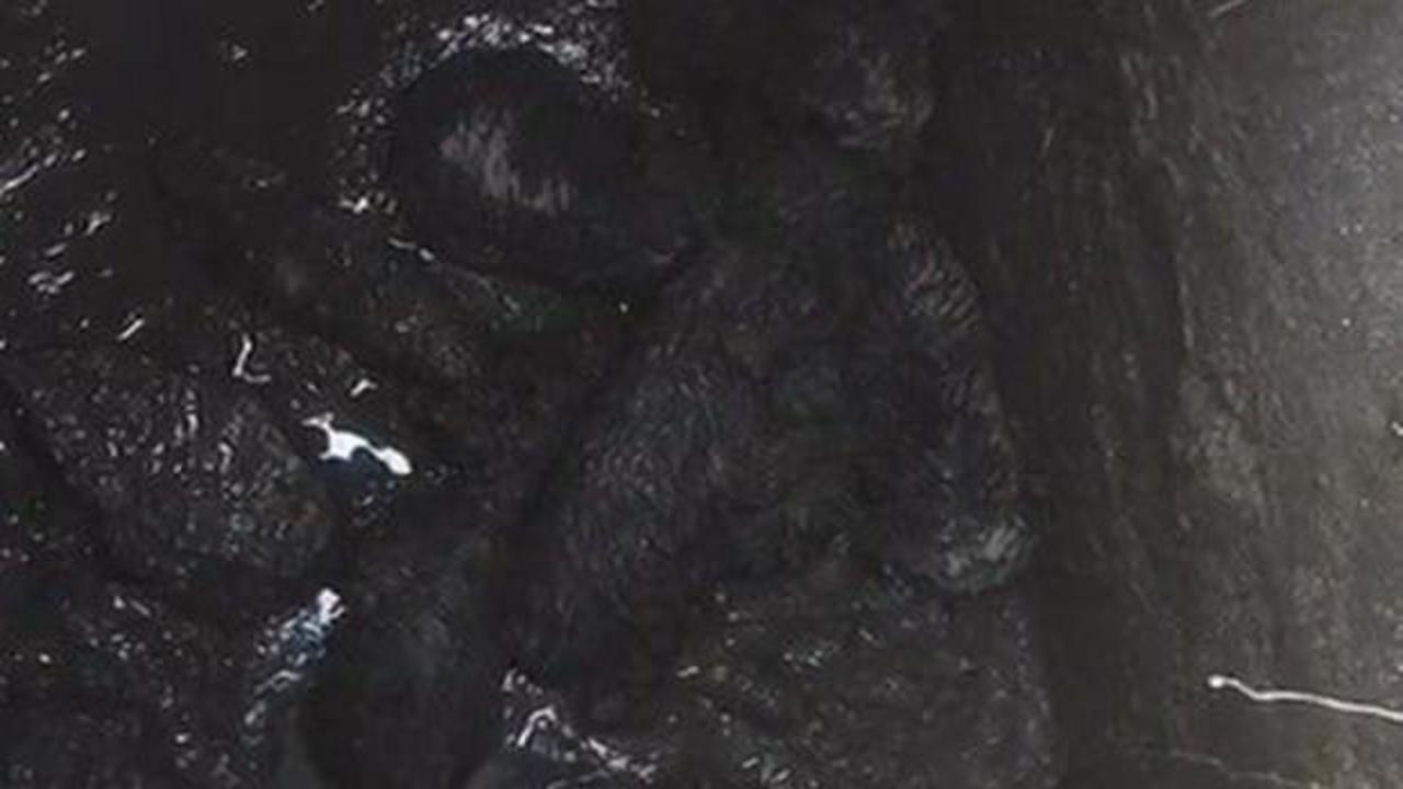 &Ccedil;ukura d&uuml;şen 6 yavru k&ouml;pek itfaiye tarafından kurtarıldı