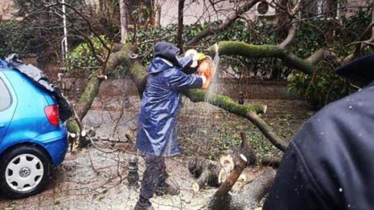 Kadıköy’de ağaç otomobilin üstüne devrildi