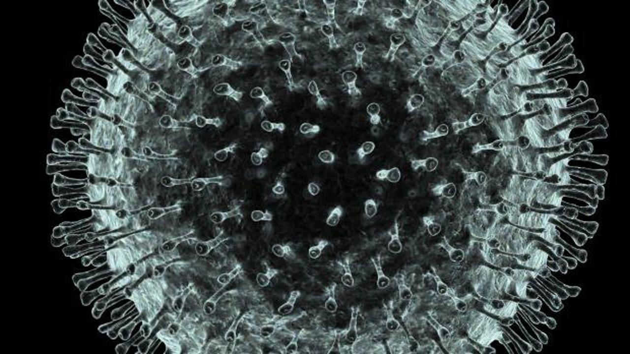 Korona virüsü nedir? Coronavirüs belirtileri nelerdir? 