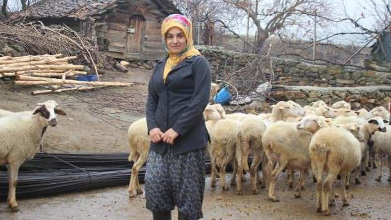 19 yaşında aldığı devlet desteğiyle 3 yıldır hayvancılık yapıyor