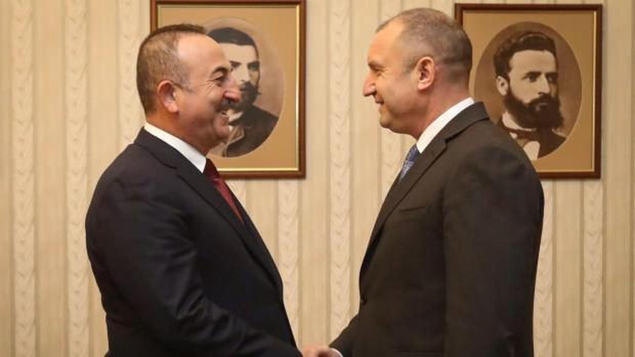  Çavuşoğlu, Bulgaristan Cumhurbaşkanı Radev ile görüştü