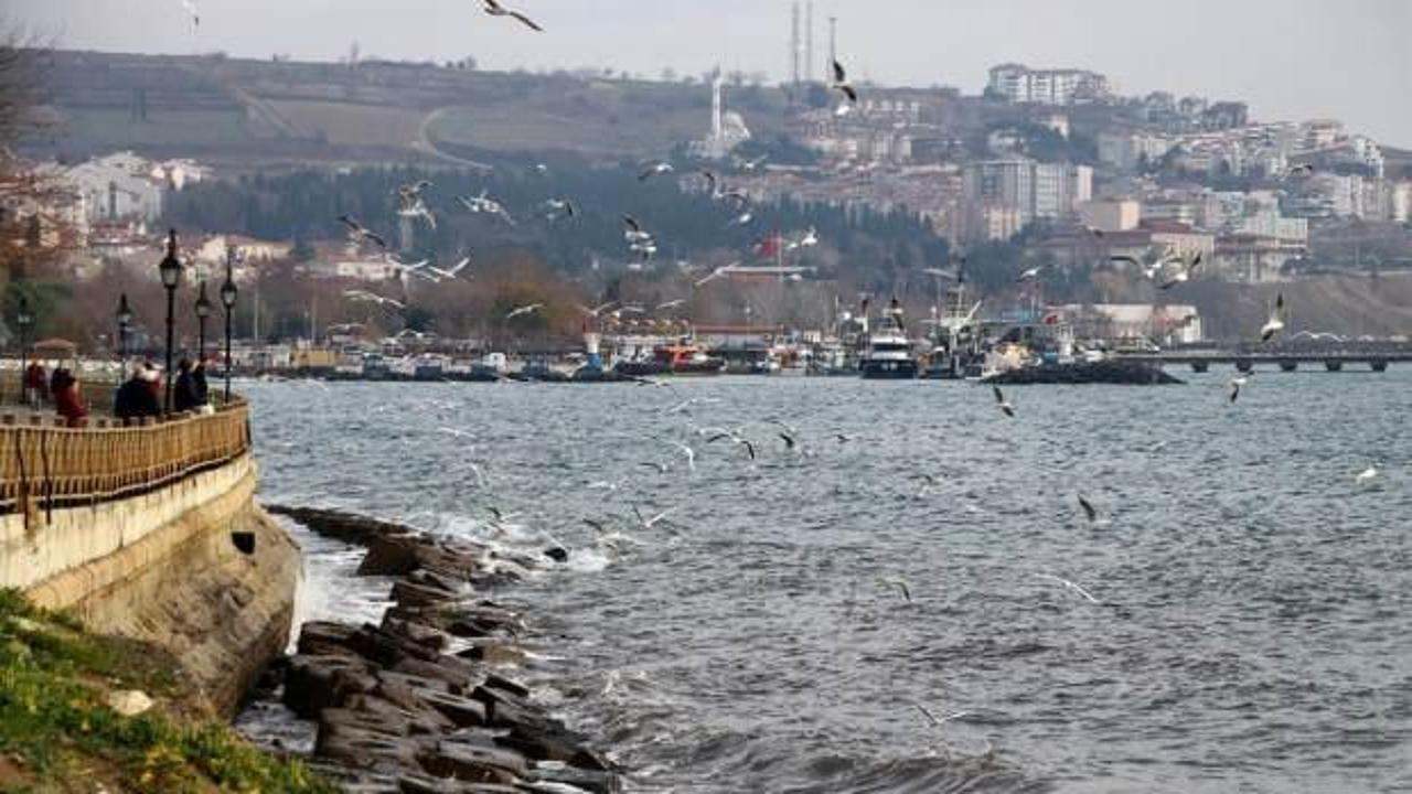 Marmara Denizi'nde ulaşıma lodos engeli: Gemiler demirledi