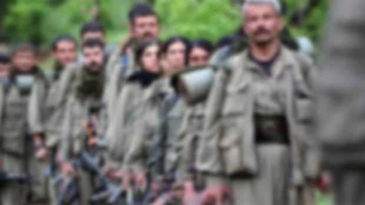 PKK'lı terörist 'piyon olarak kullanıldıklarını anlayınca' teslim olmuş