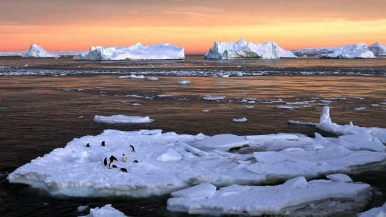 Dünya için ürkütücü haber! Antarktika'da sıcaklık rekoru kırıldı