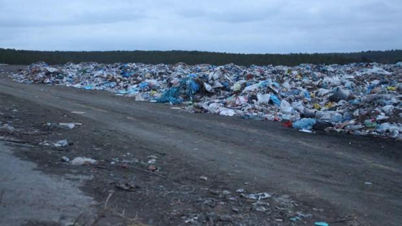 Banaz’da çöplükte 21 köpek ölü bulundu