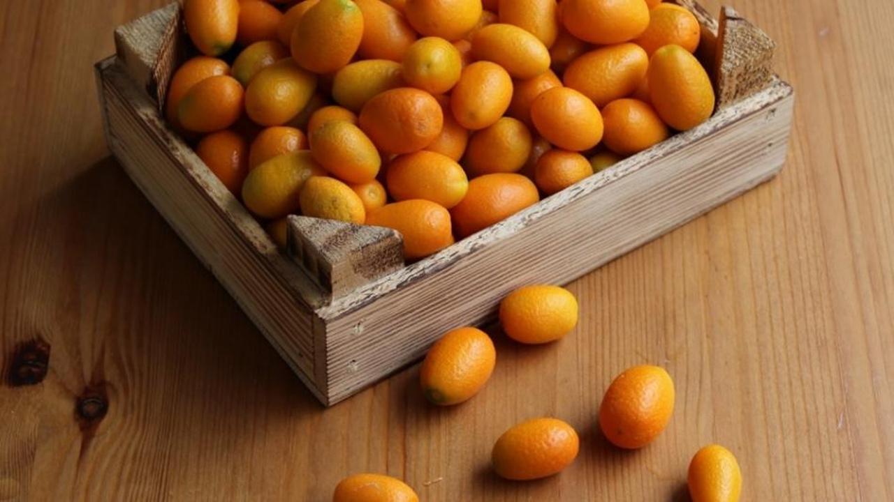 Kamkat (Kumkat) faydaları nelerdir?Kamkat hangi hastalıklara iyi gelir? Kamkat nasıl tüketilir?