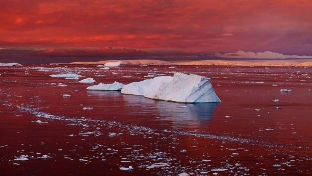 Antarktika eriyor! Sıcaklık rekoru: Bugüne kadar ki en üst noktaya çıktı