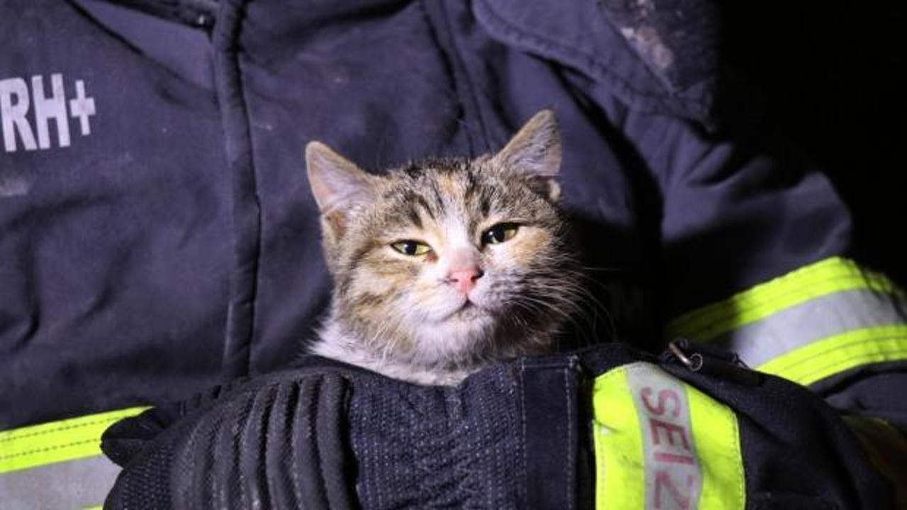 İtfaiye ekipleri yanan evden kediyi kurtardı