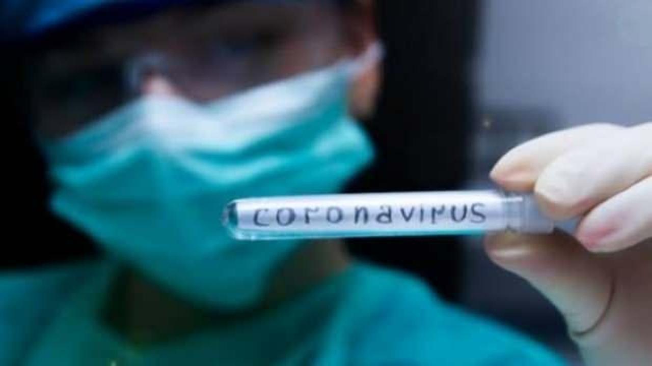 Birleşik Arap Emirlikleri'nde koronavirüs vakası 9'a çıktı
