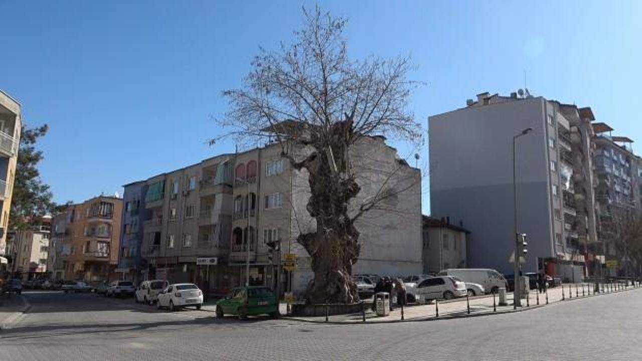 Tam 2 asırdır ayakta duruyor!