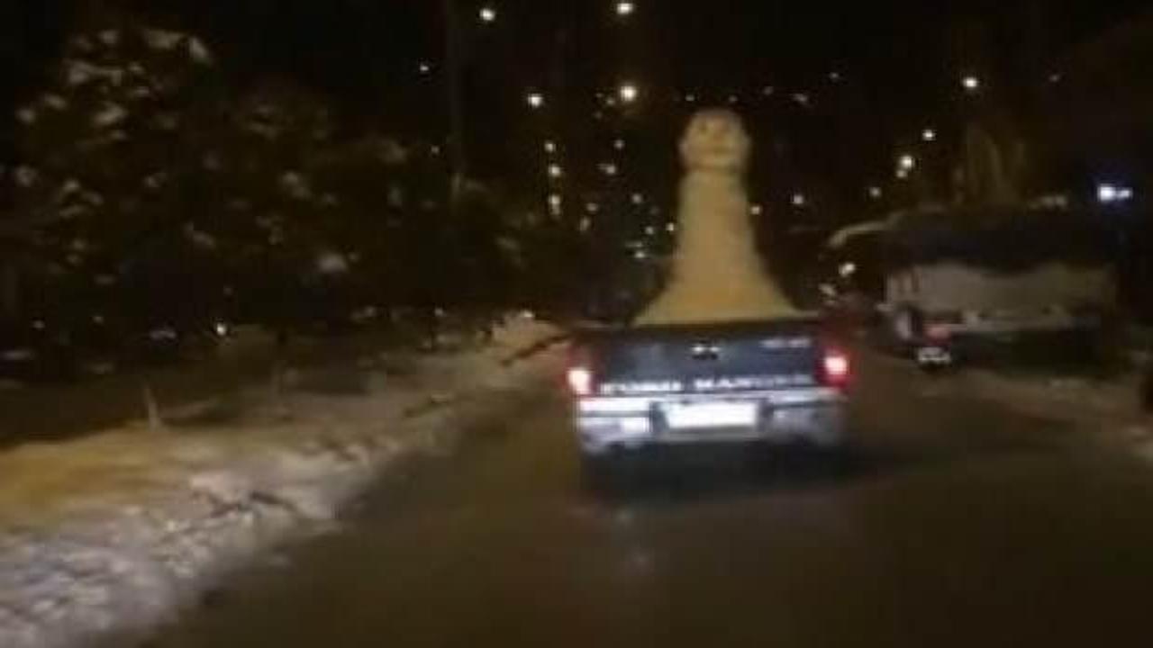 Trabzon'da şaşkına &ccedil;eviren g&ouml;r&uuml;nt&uuml;