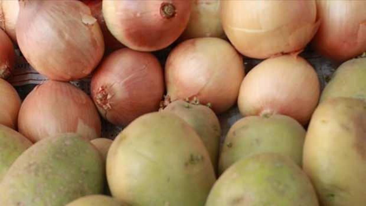 Soğan ve patates üreticisi hasadı durdurdu