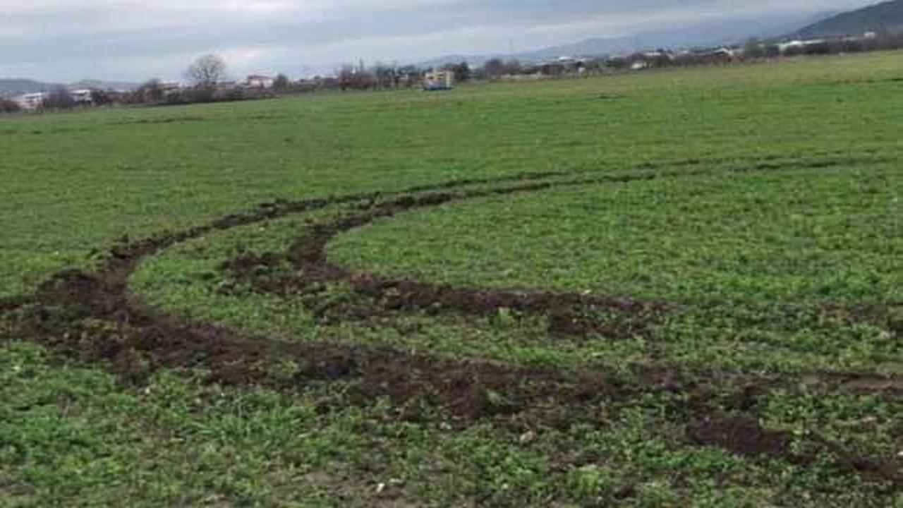 Tarlasına gidince bu şekilleri g&ouml;rd&uuml;! İnanamadı