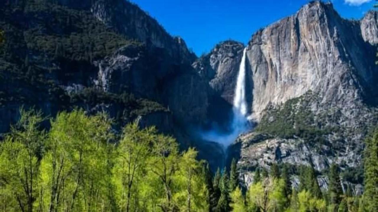 Yosemite National Park nerede? Amerika'nın kuzeydeki en ünlü parkı