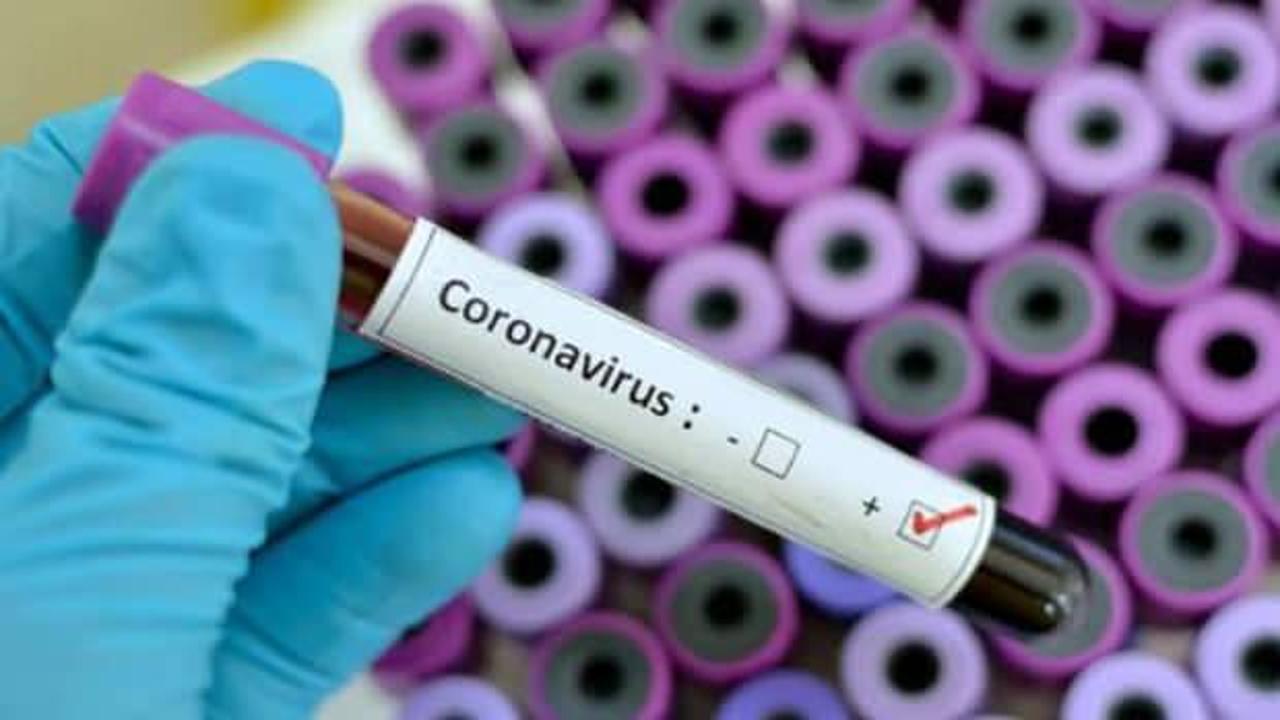 Koronavirüs bir ülkede daha tespit edildi