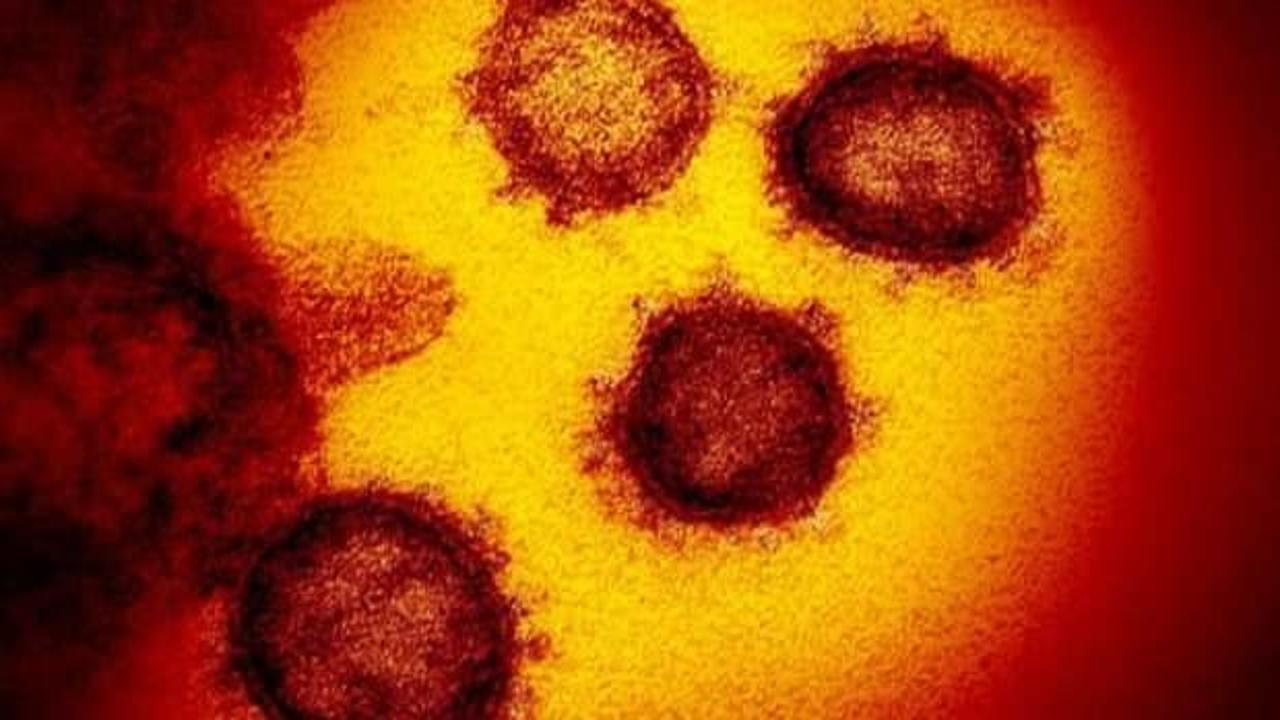 Lübnan’da korona virüsü vaka sayısı artıyor