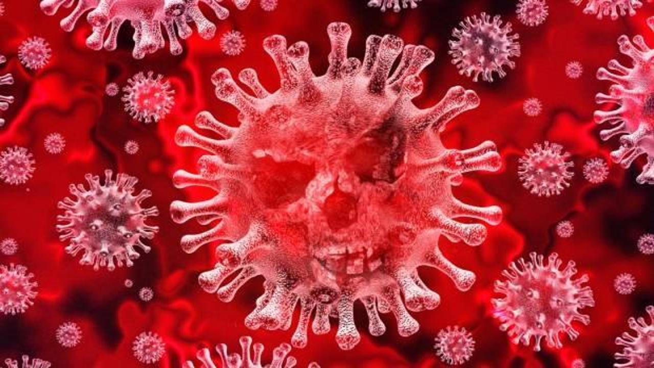 Korona virüsten nasıl korunurum? Coronavirüs (Koronavirüs) için alınması gereken önlemler