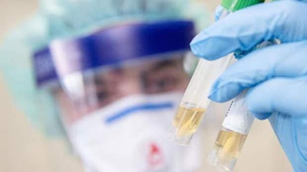 Cezayir'de koronavirüs vaka sayısı 17'ye yükseldi
