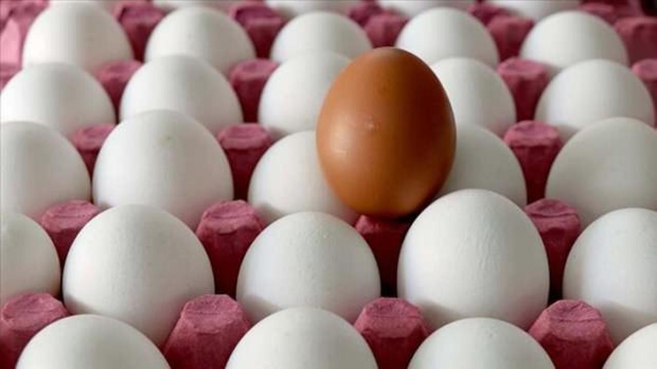 Koronavirüs nedeniyle 150 tır yumurta sınırda bekliyor
