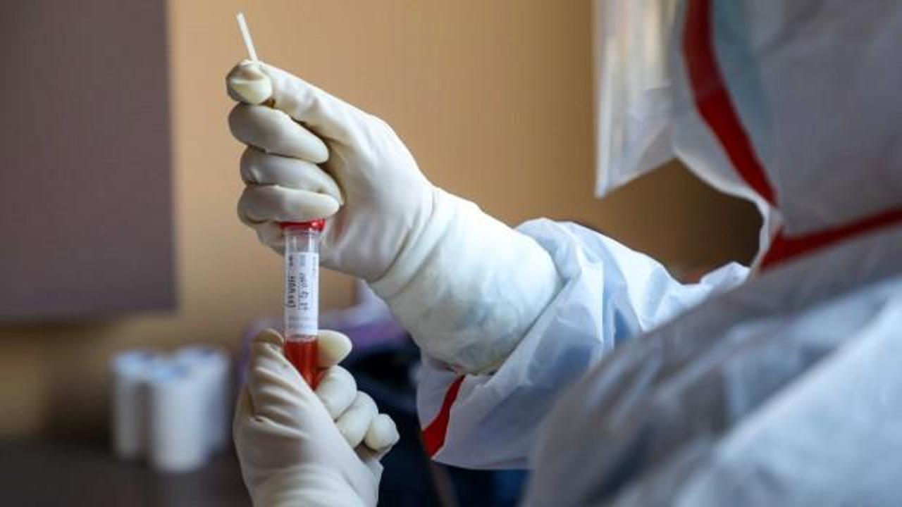 Avrupa'da bir ülkede daha koronavirüs vakası