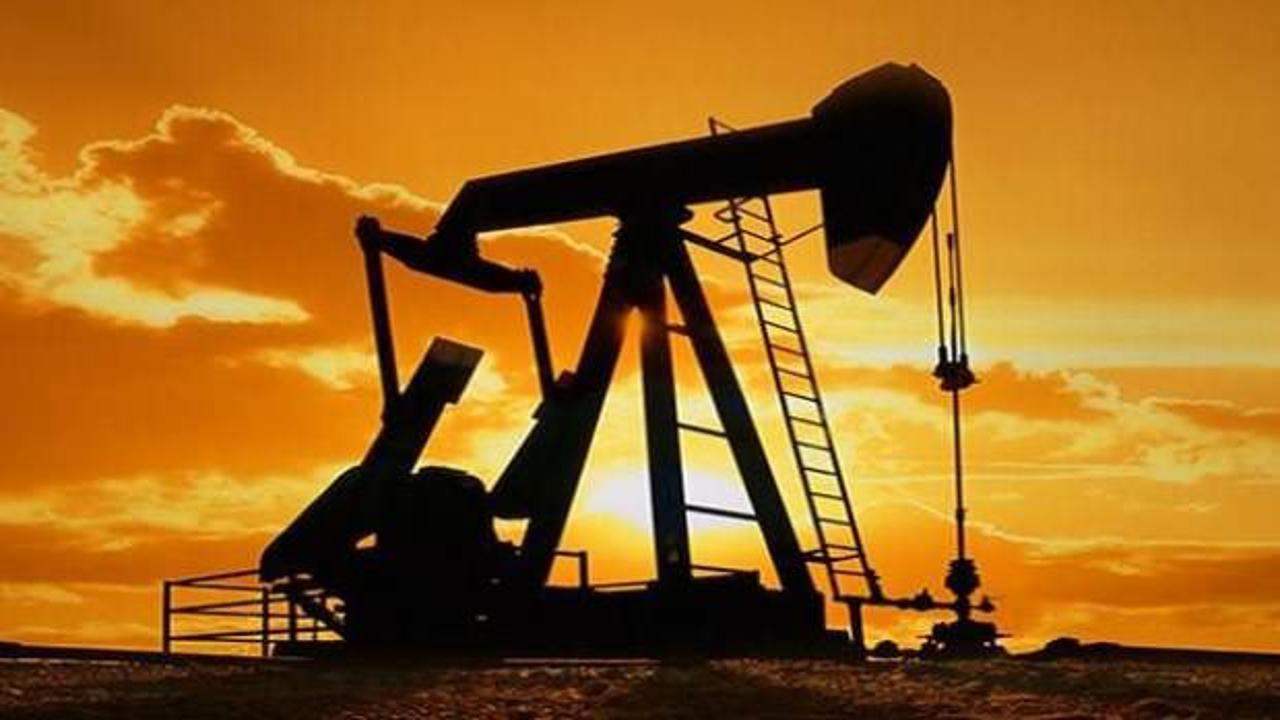 OPEC toplantısı sonrası Brent petrolün varil fiyatı 45 dolara kadar düştü