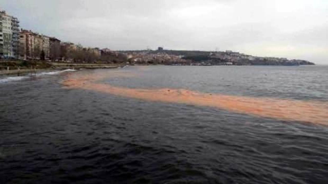 Tekirdağ'da ilginç görüntü: Deniz turuncuya boyandı