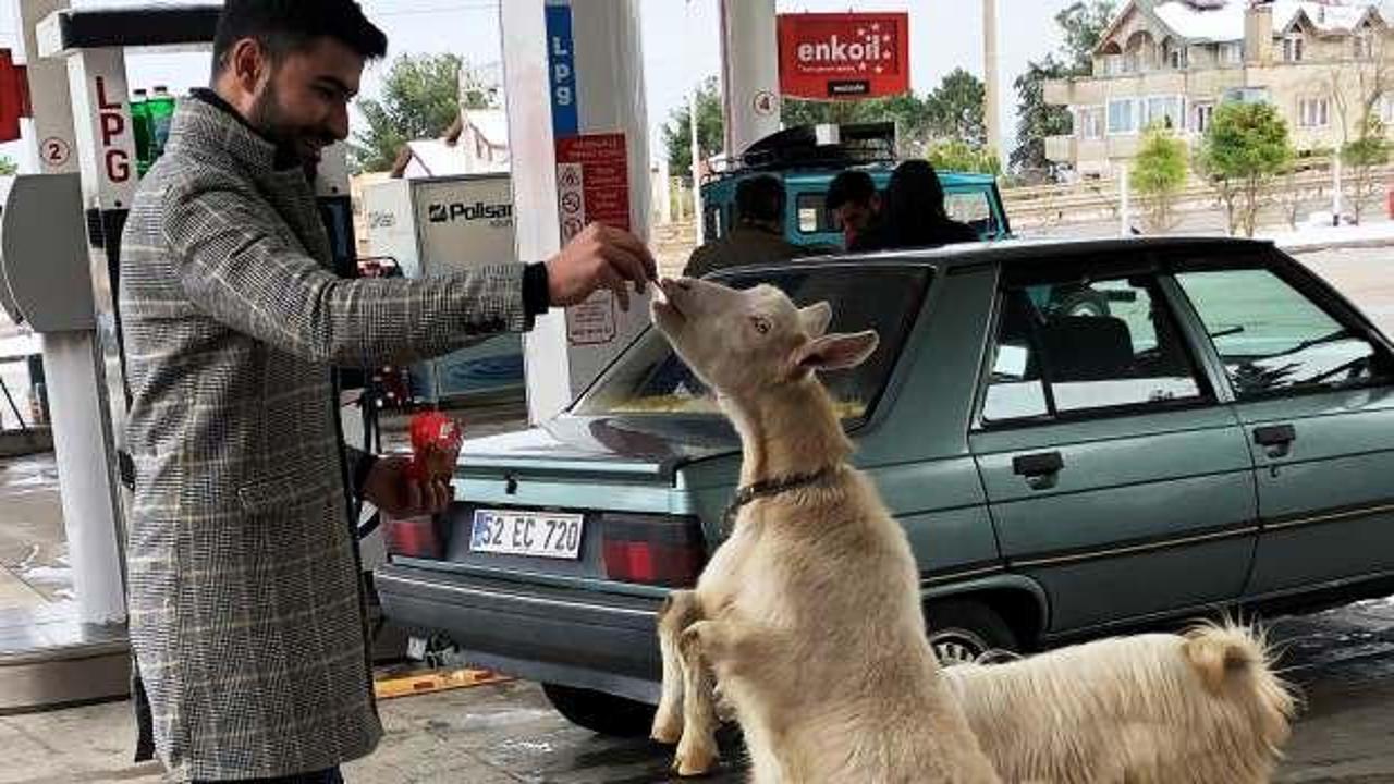 Aracına yakıt almaya gelenler şaşkına d&ouml;n&uuml;yor