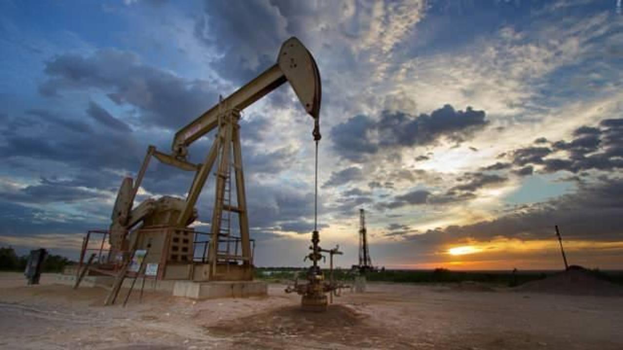 BAE'den petrol krizini büyütecek karar
