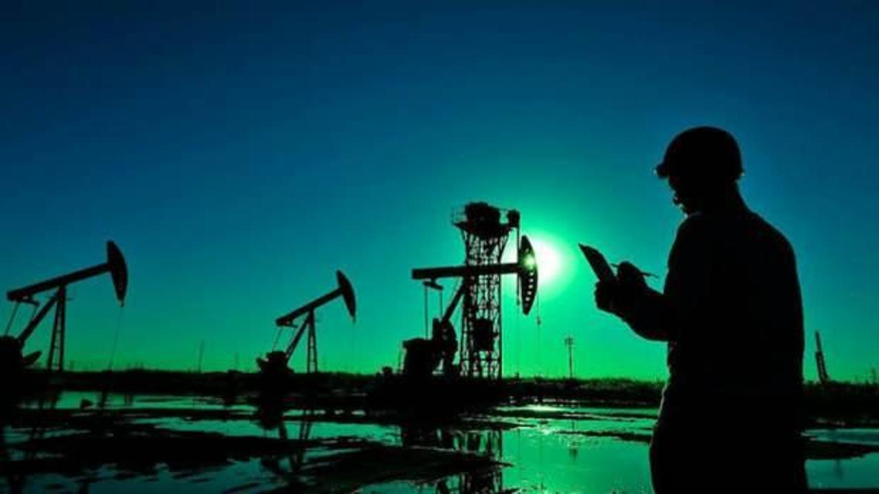 Rusya'dan petrol fiyatı açıklaması