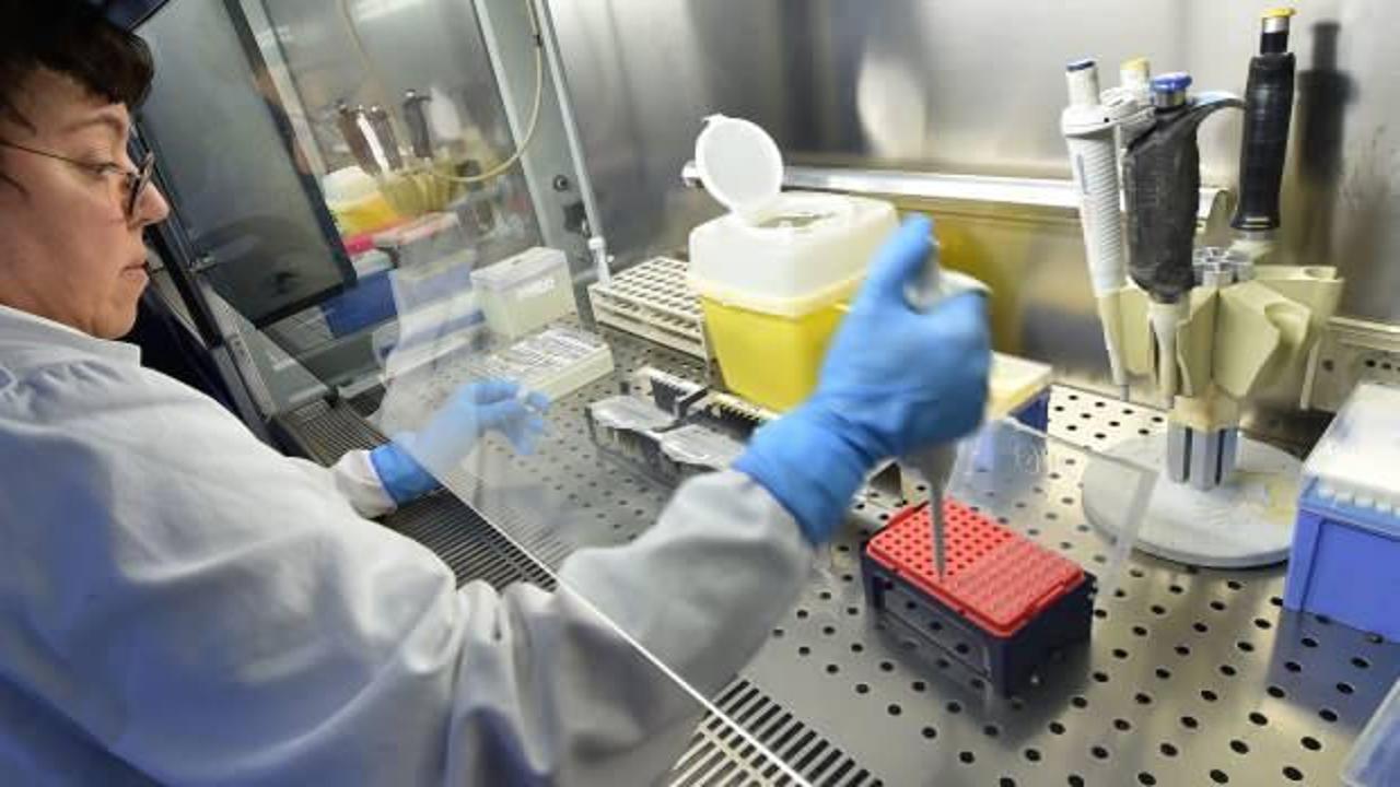 Lübnan'da yeni tip koronavirüs vaka sayısı 73'e yükseldi