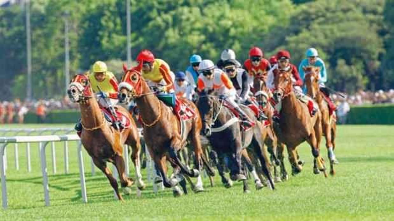 At Yarışları 10 Haziran’da yeniden başlıyor