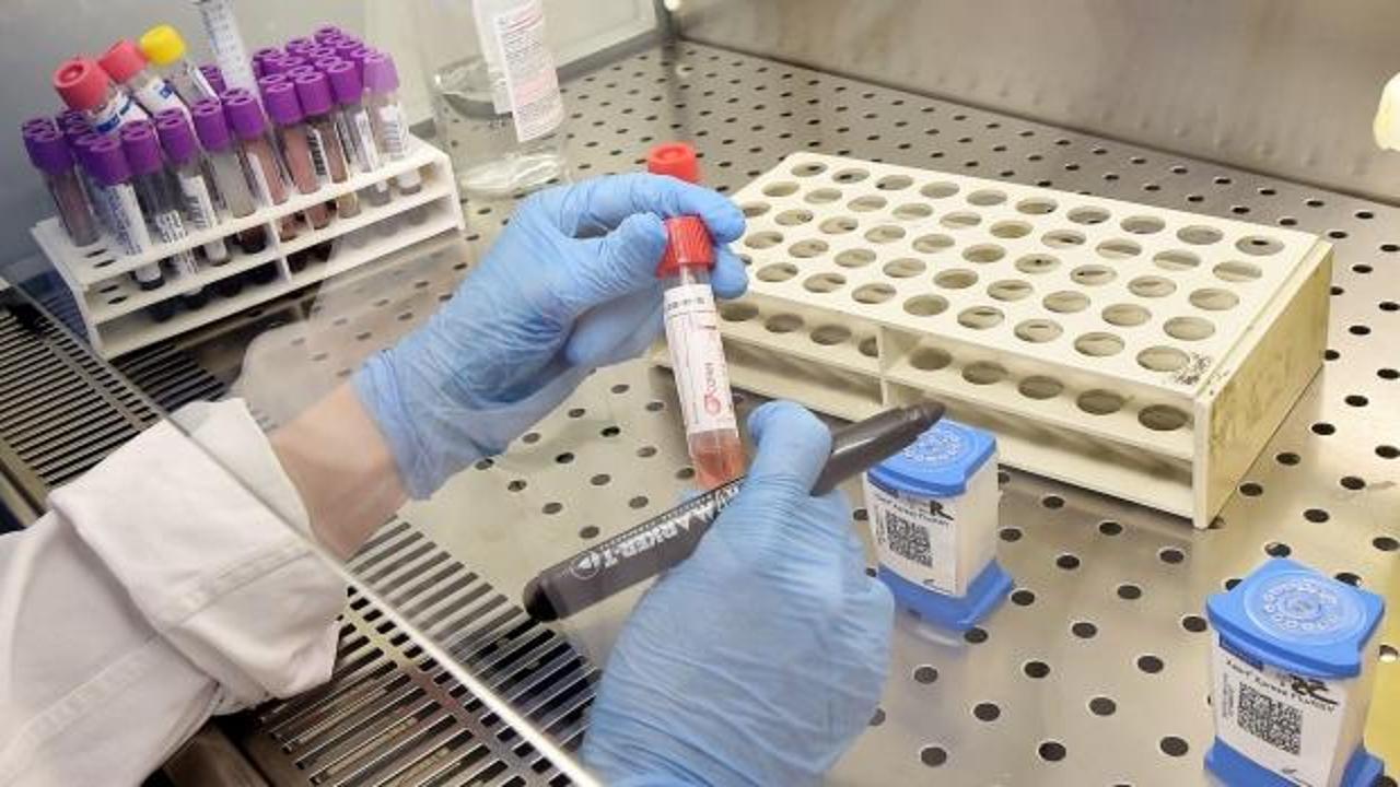 Lübnan'da koronavirüs vaka sayısı 230'a yükseldi