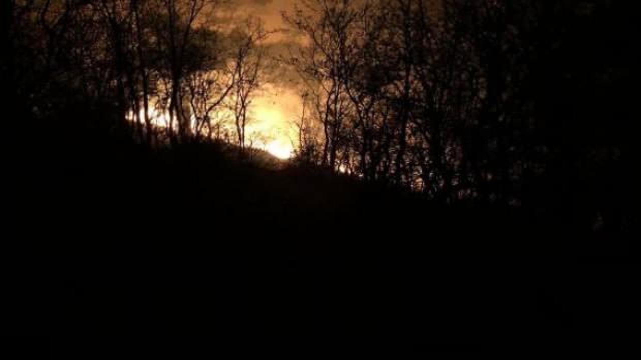 Manisa'daki orman yangınında 1 hektarlık alan zarar gördü