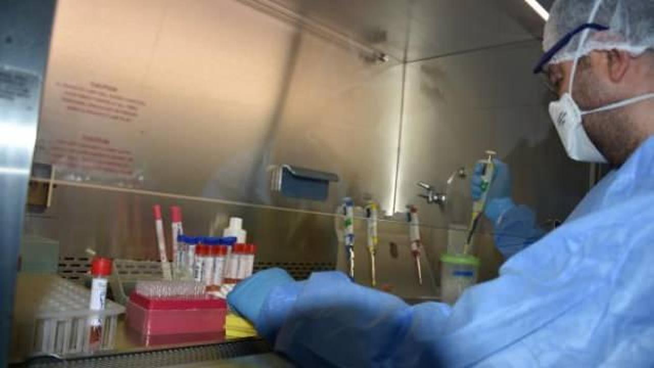 4 ilin koronavirüs testleri Malatya'da yapılıyor